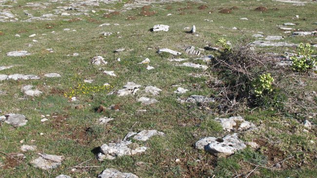 Otsagarate 11 tumulua, Urbasa