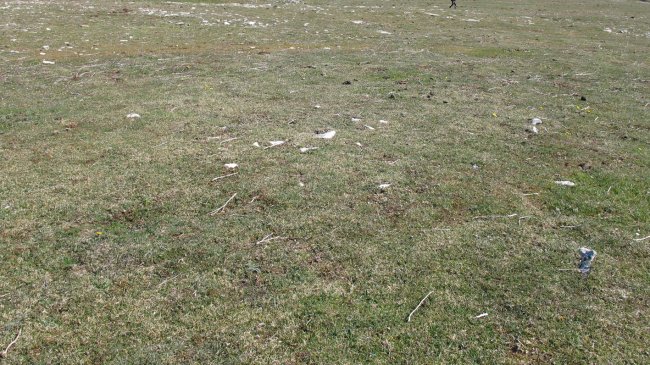 Otsagarate 2 tumulua, Urbasa