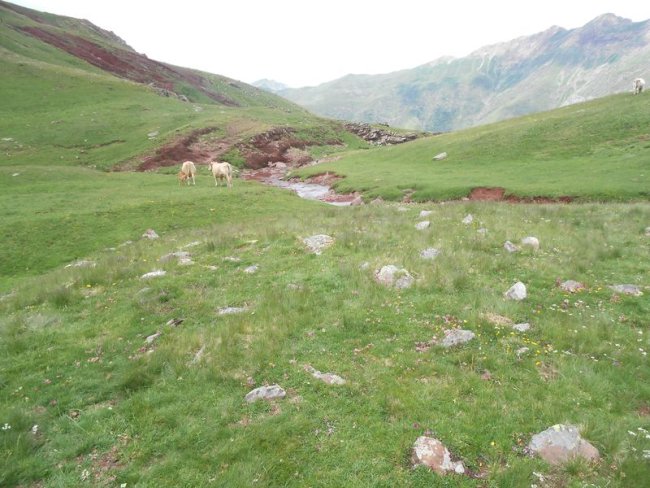 Barranco de la loma harrespila