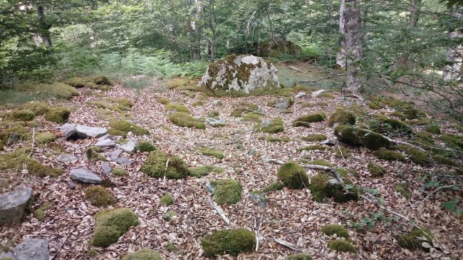 Gereziain trikuharria 3