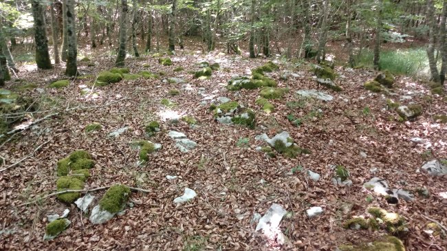 Bakedanoko Portuzargaina tumulua 2