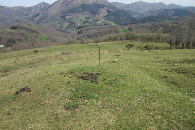 Fondo de Cabaña Santa Cruz Este  (Abril 2016)