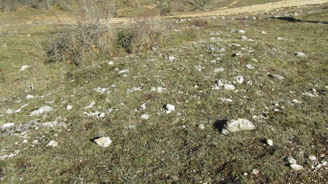 Manzuruturri 1 oeste tumulua, Arraia-Maeztu