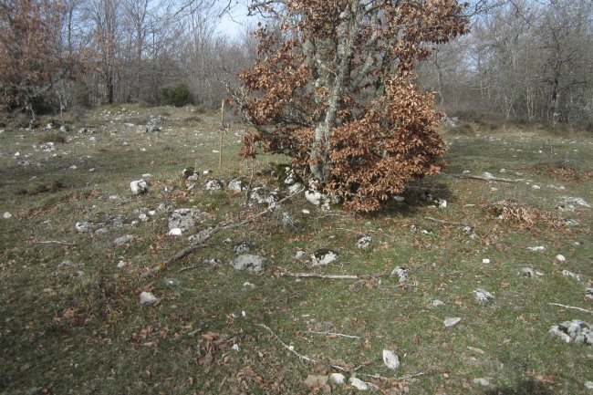 Campo Tumular Lazeta,Túmulo A (Febrero 2020)