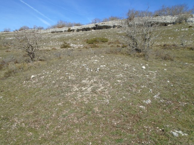 balsa de manzuruturri