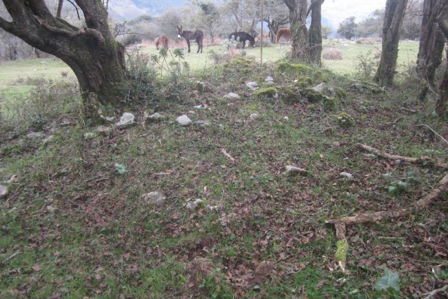 Campo Tumular Ariztiaundi nº 2  (Enero 2020)