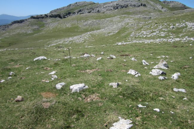 Círculo Anular Arraska 10  (Agosto 2017)