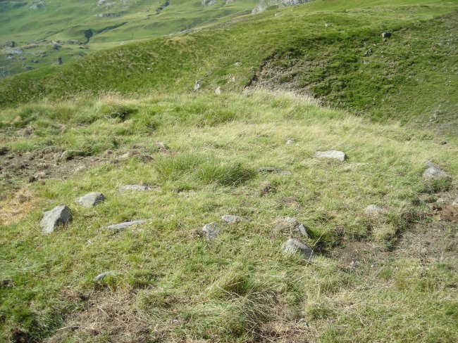 sentier de loustrebes 2