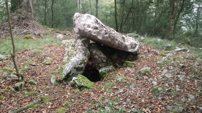 Seakoain I trikuharria