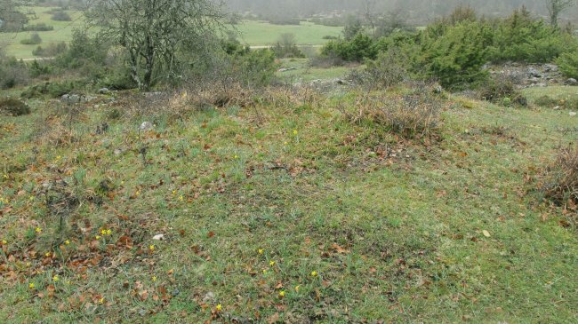 Itaida V tumulua, Entzia