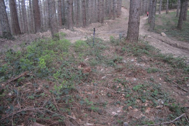 Túmulo Armorazabal  (Marzo 2021)