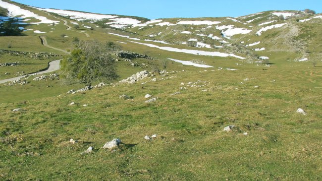 Balenkaleku harrespila, Erregenea