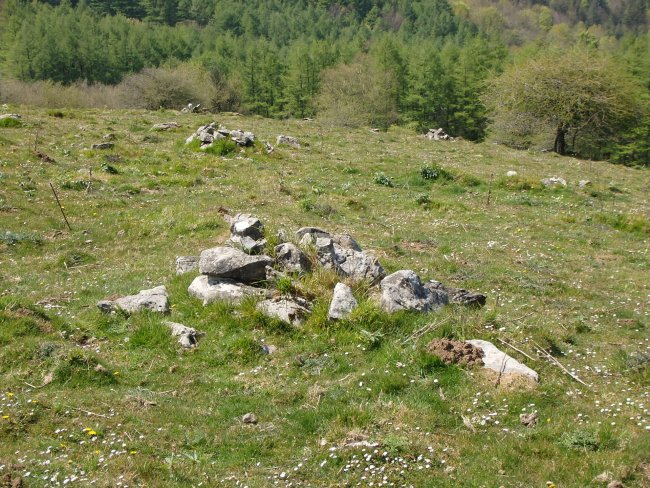 Campo tumular BELAURIATE III