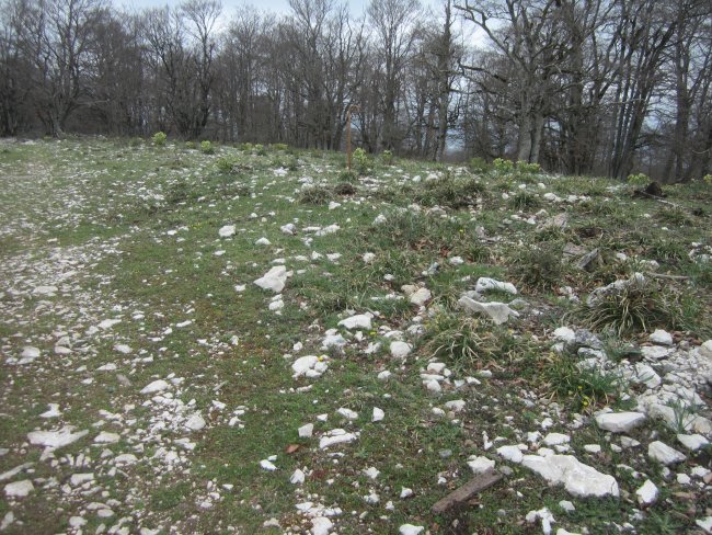 Túmulo Bardoitza V (Arrasaso) Abril 2022