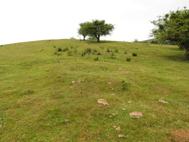 Túmulo de anillo ARKAUN III