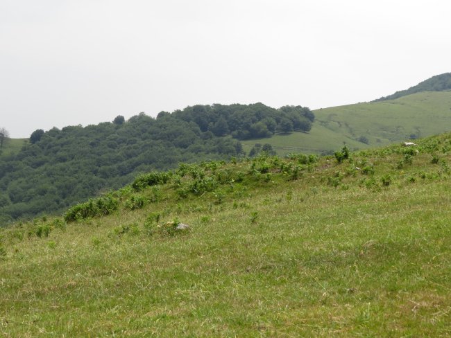 Fondo de cabaña ARKAUN IV