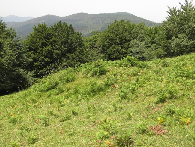 Fondo de cabaña ARKAUN VI
