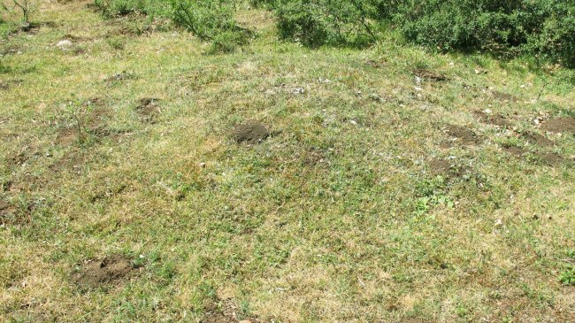 Rasico del Mojón III tumulua, Urbasa