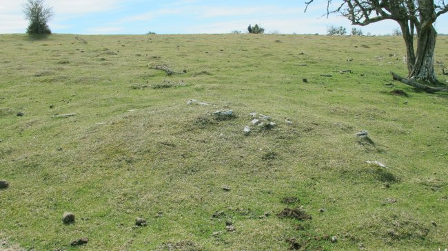 Arratondo 5 tumulua, Urbasa