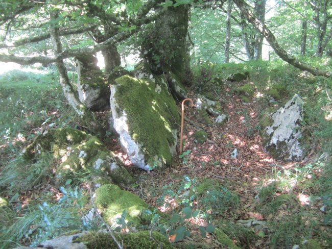 Lizarrandigañe 1 Este