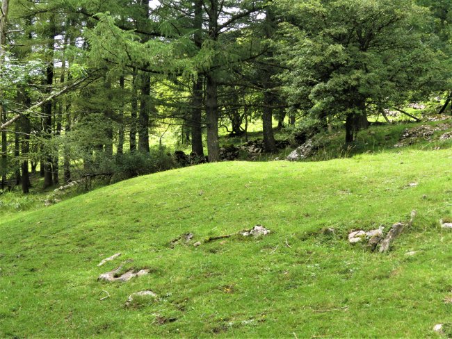 Fondo de cabaña ARANTZABELTZ