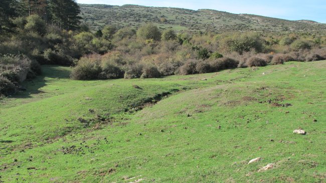 Borda Berri 1 etxola hondoa, Andia