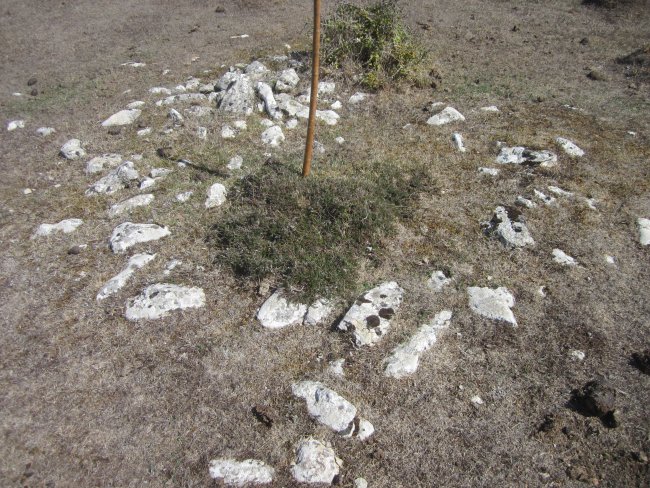 Túmulo El Ginebral* (Septiembre 2022)