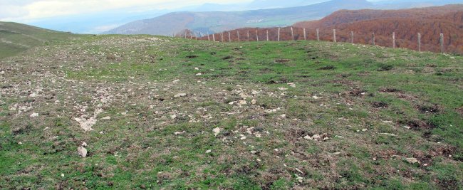 San Donatoko Bidea 2 eraztun tumulua, Andia