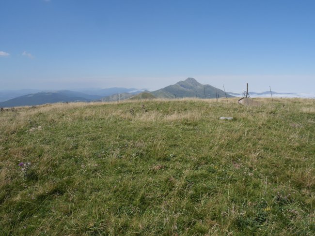 Otsogorritxipia tumulua