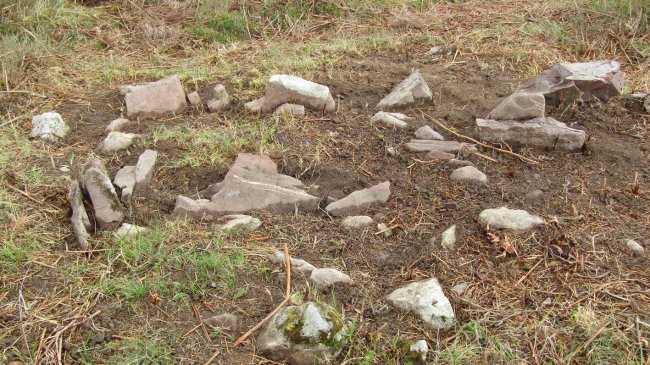 Okalarre trikuharria, Etxalar