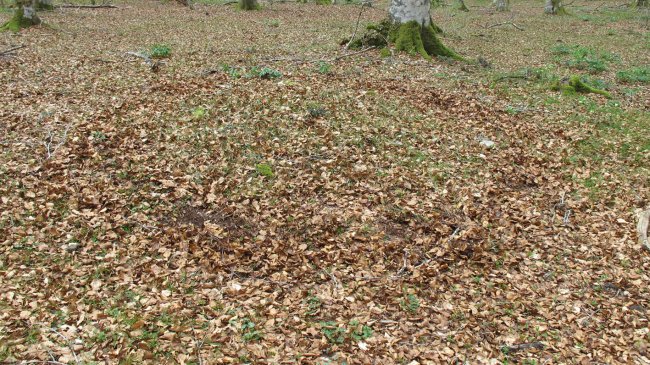 Bagaritxa 4 tumulua, Goñi