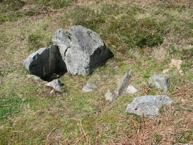 Pagolleta trikuharria