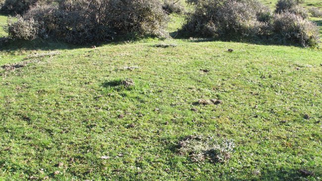 Iguzpegi 8 etxola hondoa, Andia