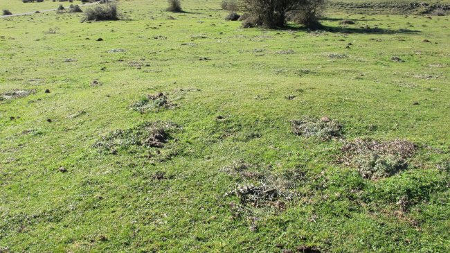 Sosaportillo 4 etxola hondoa, Andia