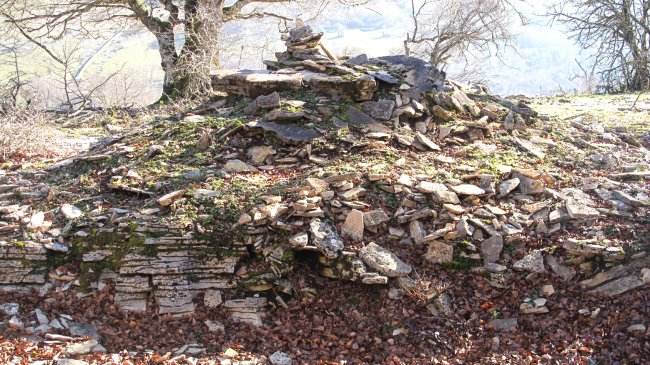 Monosarios 1 tumulua, Andia