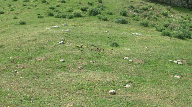 Zaraundia txabola tumularra, Andia