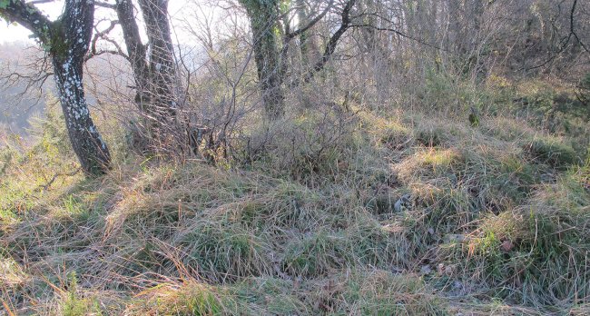 Mutxurro Oskotz tumulua, Oskotz-Imotz